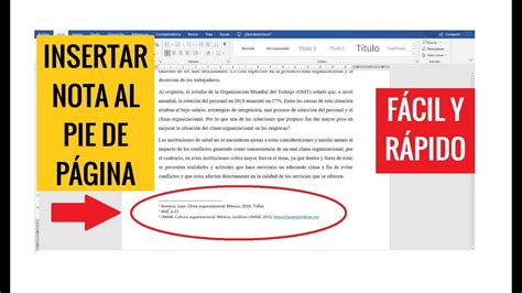 Pie De Pagina