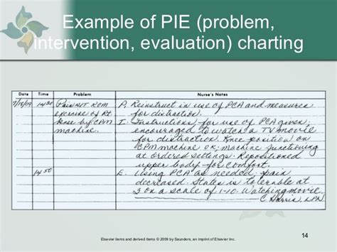 Read Pie Documentation Examples 