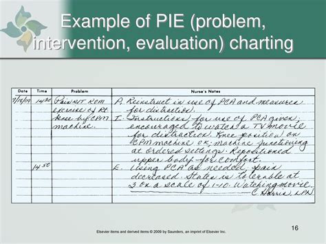 Read Online Pie Nursing Documentation Example 
