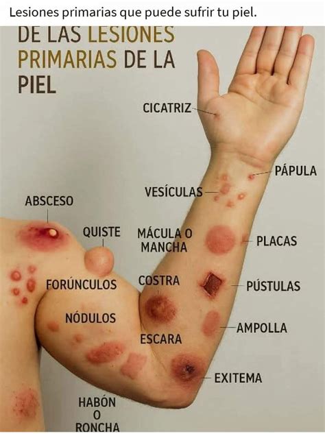 pie.l nude