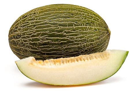 Piel De Sapo