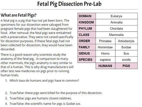 Pig Dissection Pre Lab