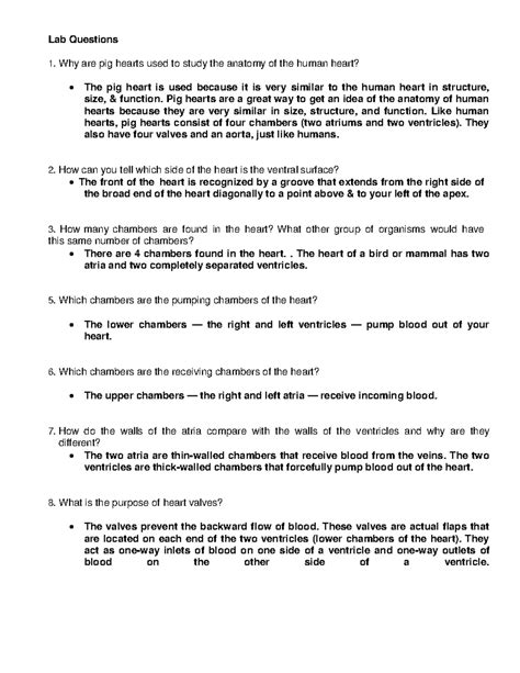 pig heart dissection lab answers