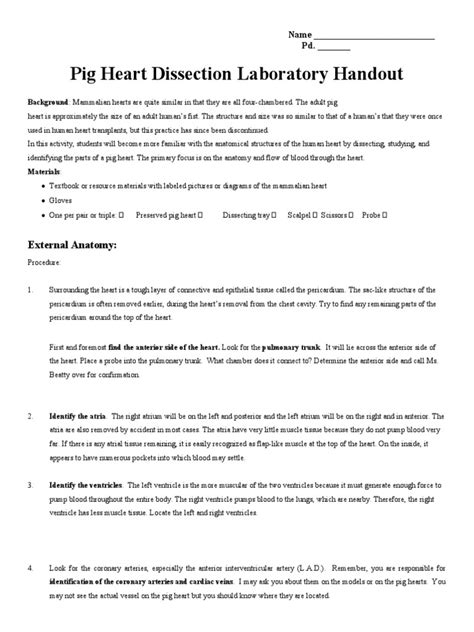 pig heart dissection lab report answers