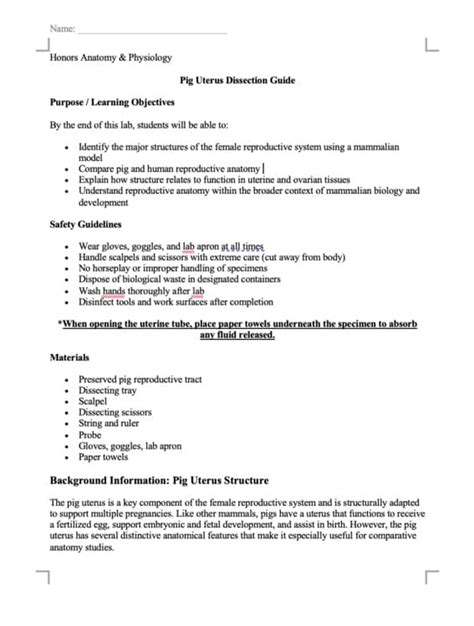 Pig Uterus Dissection Guide