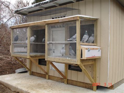 Pigeon Loft Designs