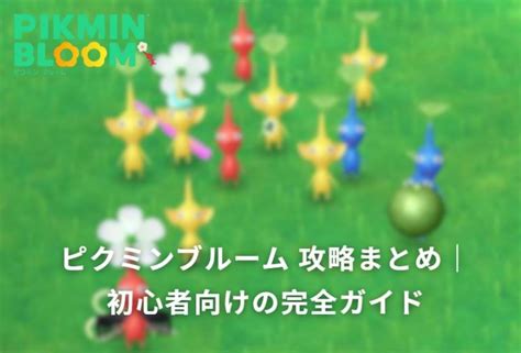 Pikmin Bloom Walkthrough