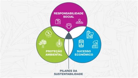 Pilares Da Sustentabilidade