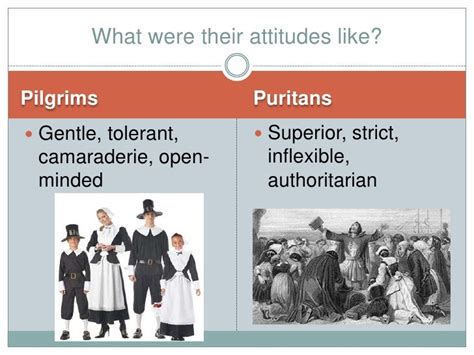 Pilgrims Vs Puritans