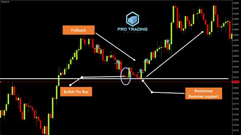Pin Bar Trading Strategy Everything You Need To Forex Pin Bar Trading Strategy - Forex Pin Bar Trading Strategy