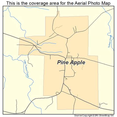 pine apple alabama