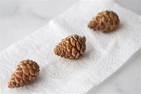 Pine Cone Experiment The Best Ideas For Kids Pine Cone Science Experiment - Pine Cone Science Experiment