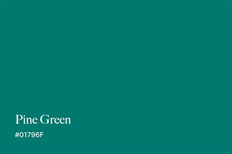 pine green color