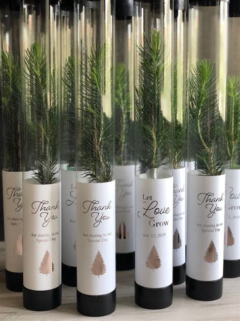 Pine Tree Seedling Wedding Favors