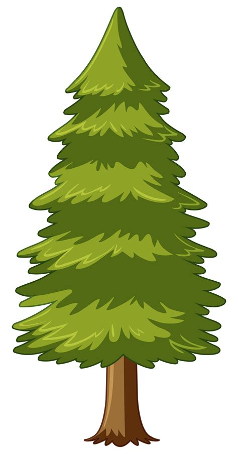 pine tree vector