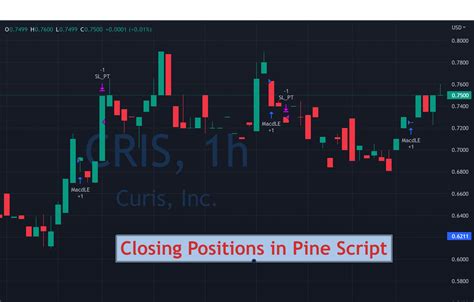 Pinescript Strategy Entry And Exits