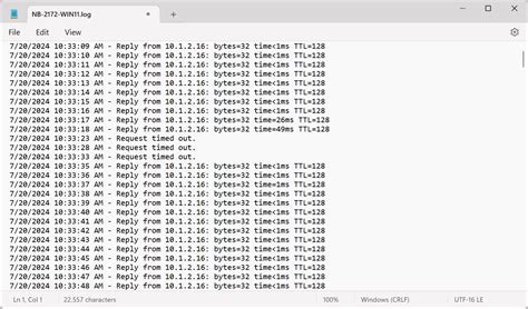 Ping Timestamp Option