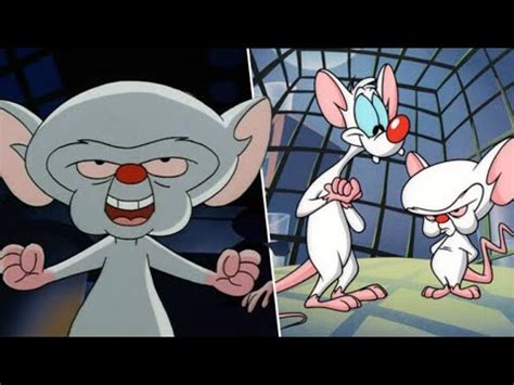 pinky and the brain - Best Buy