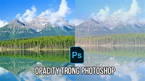 Pinsecript Plotline Opacity