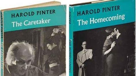 pinter harold biography of christopher