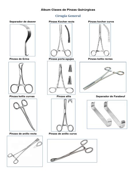 pinzas quirurgicas con nombres pdf