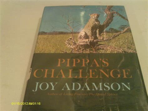 Pippas Challenge