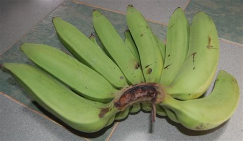pisang nangka