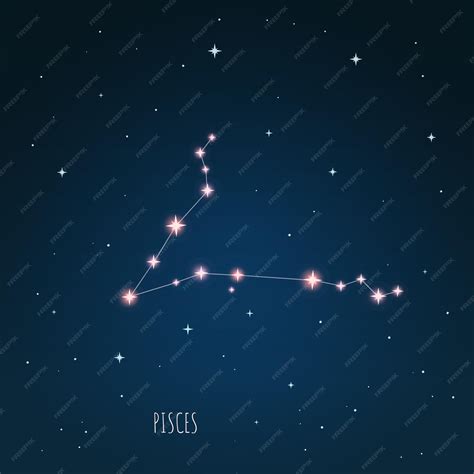 pisces 88 | Pisces Aquarium 88 Terbaru Shopee Indonesia Diskon