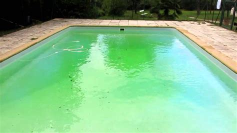 piscine verte solution