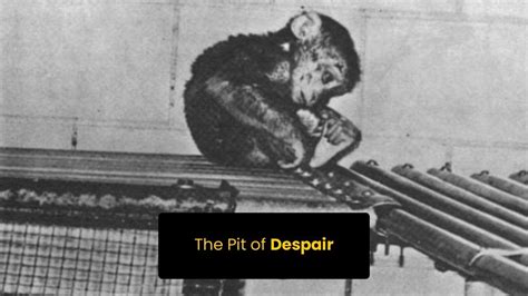 Pit Of Despair