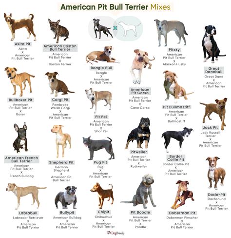 Full Download Pit Bulls A Guide 
