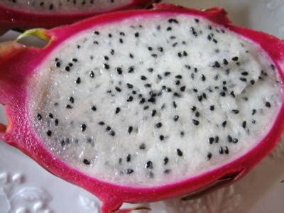 pitaya - Definition of pitaya Is pitaya a word in the scrabble ...