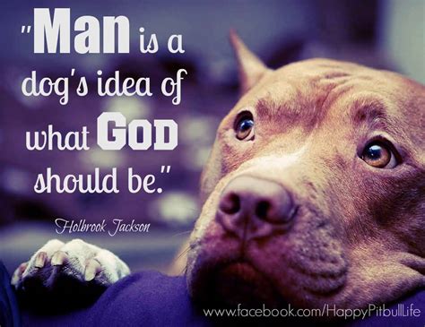 Pitbull Dog Pics And Quotes