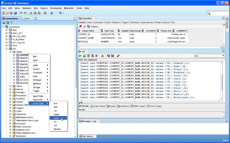 pl sql sql developer