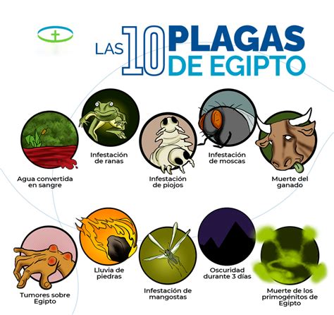 Plagas De Egipto