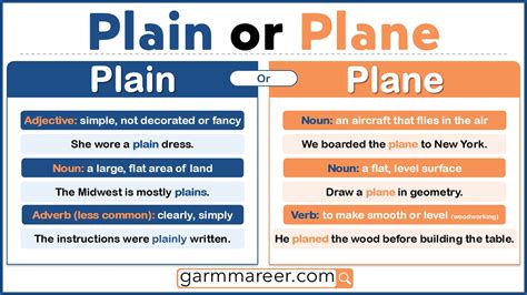 Plain Or Plane