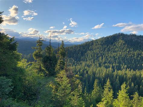 plain washington