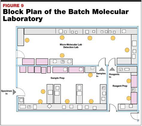 plan and design lab example biology