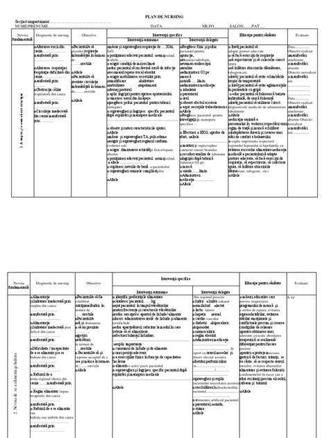 Plan De Ingrijire