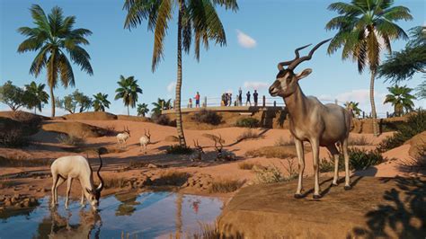 planet zoo casino dhej