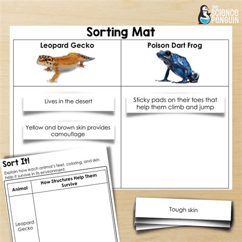 Planning Engaging Animal Adaptations Lessons An Ultimate Guide Physical And Behavioral Adaptations Worksheet - Physical And Behavioral Adaptations Worksheet