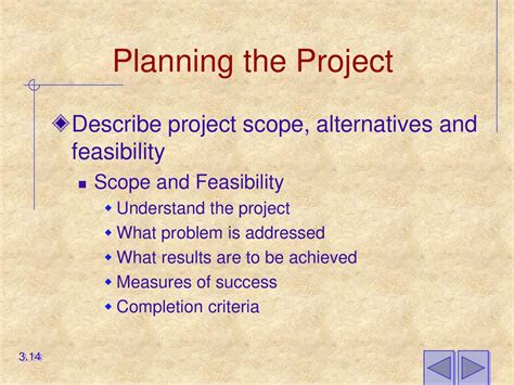 Download Planning An Information Systems Project Path 