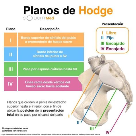 Planos De Hodge