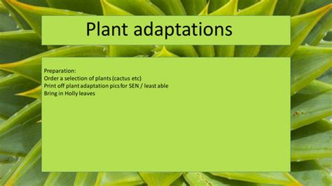 Plant Adaptations Gcse Biology Low Mid Ability Tes Plant Adaptation Worksheet - Plant Adaptation Worksheet