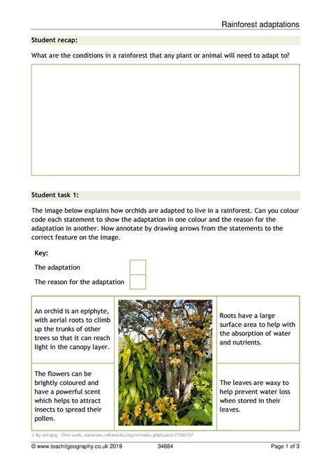 Plant Adaptations Worksheet Teacher Made Twinkl Plant Adaptation Worksheet - Plant Adaptation Worksheet