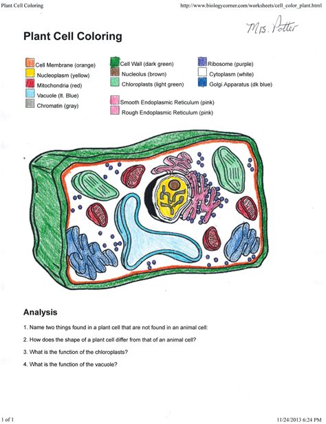 Plant And Animal Cell Coloring Worksheets Plant Cell Coloring Worksheet Answer Key - Plant Cell Coloring Worksheet Answer Key