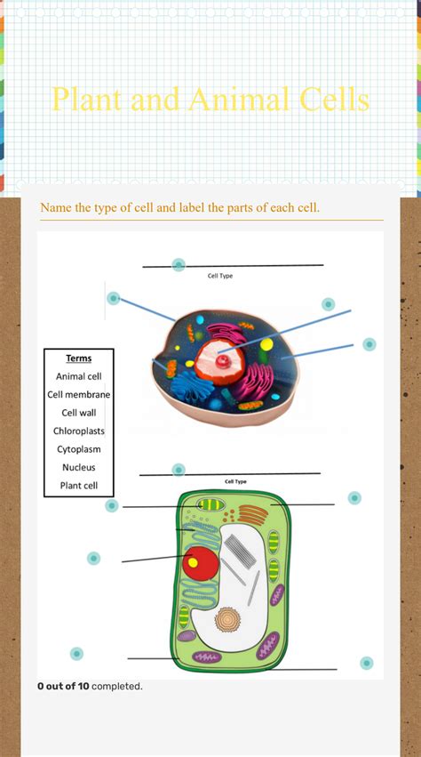 Plant And Animal Cells Interactive Worksheet Live Worksheets Plant Cells Vs Animal Cells Worksheet - Plant Cells Vs Animal Cells Worksheet