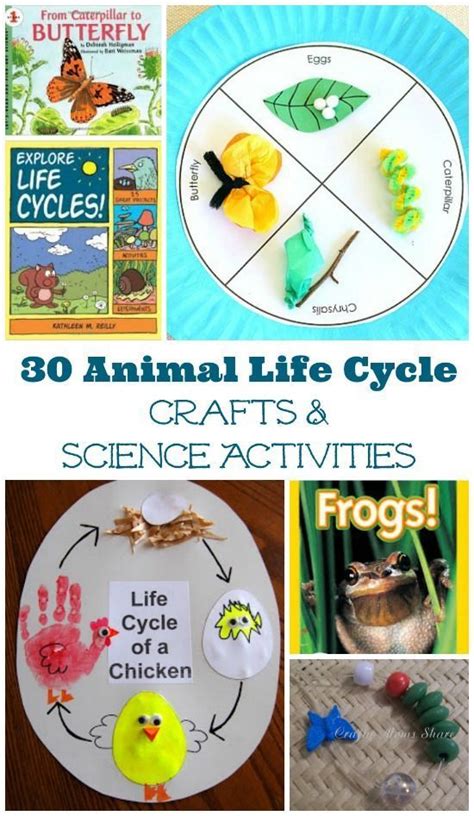 Plant And Animal Life Cycle Crafts And Activities Plant Life Cycle Crafts - Plant Life Cycle Crafts