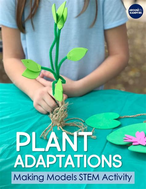 Plant Biology Stem Activities For Kids Science Buddies Plant Science Activities - Plant Science Activities