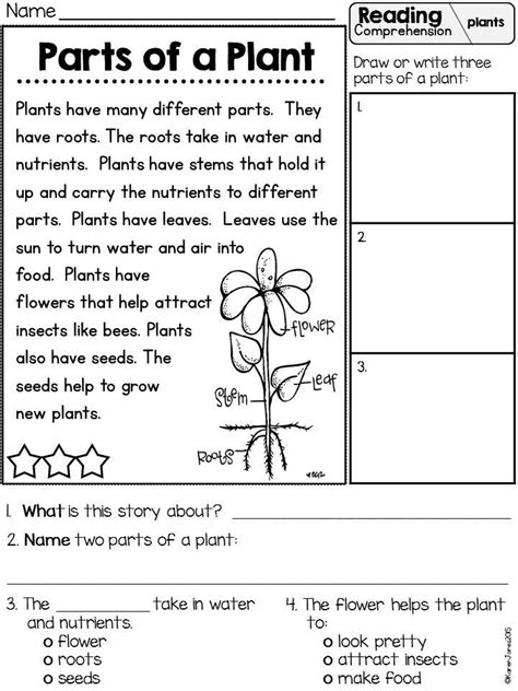 Plant Books 3rd Grade Unit 8211 Ms Houghton Plant Books For First Grade - Plant Books For First Grade